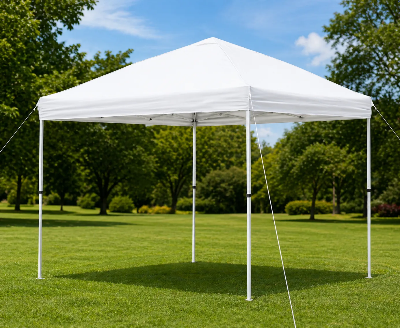 10x10 Canopy Tent